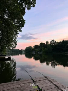 Cannes a carpe posees au bord d'un etang au coucher du soleil, ambiance peche de nuit en province de Luxembourg