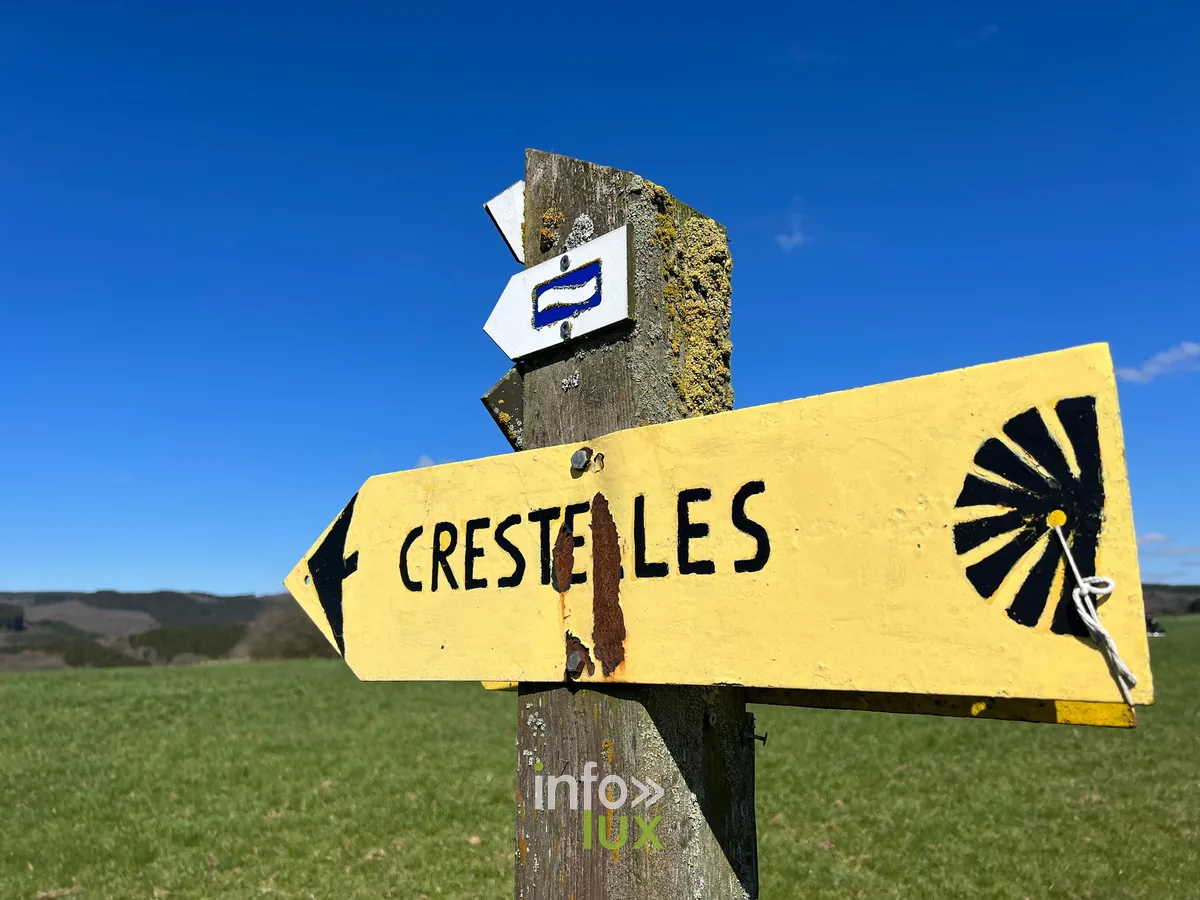 Le panorama sur la vallée de l'Ourthe aux Crestelles
