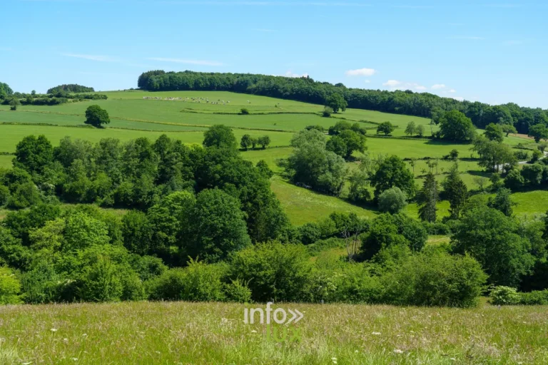 Érezée > Points de vue > Le panorama de Fanzel et le Bois Gérard