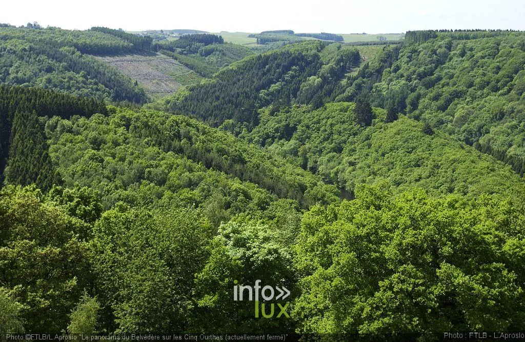 Le bloc rocheux du Hérou dominant l'Ourthe