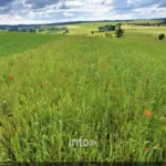 Les hauts plateaux boisés autour de Léglise