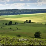 Chemins de crête et hauts plateaux ardennais au point de vue de Jalifé