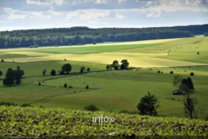 Chemins de crête et hauts plateaux ardennais au point de vue de Jalifé