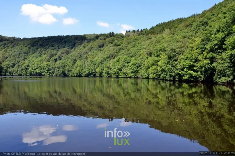 Houffalize > Points de vue > Le lac de Nisramont