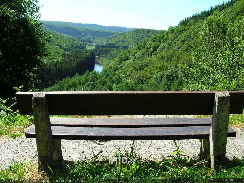 Les bois communaux des Hayons depuis le belvédère