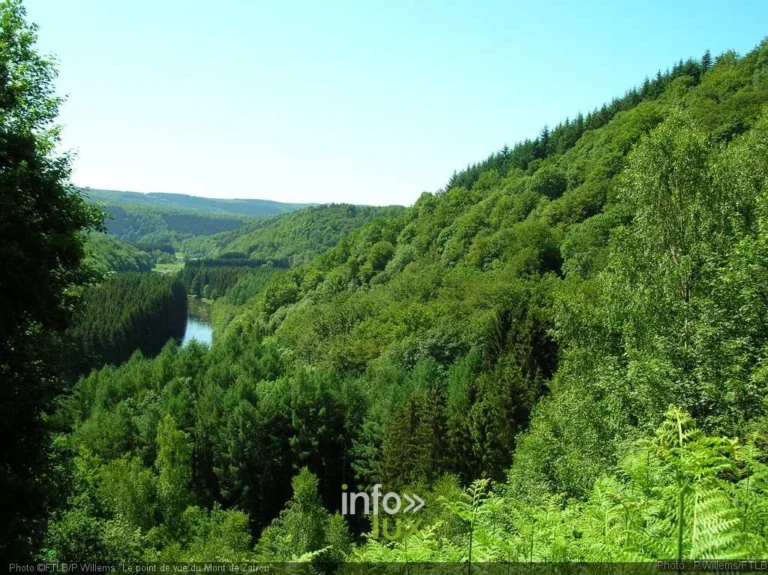 Bouillon > Points de vue > Le Mont de Zatrou aux Hayons