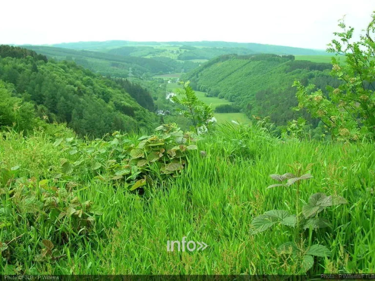 La Roche-en-Ardenne > Points de vue > Le point de vue des Parapentistes