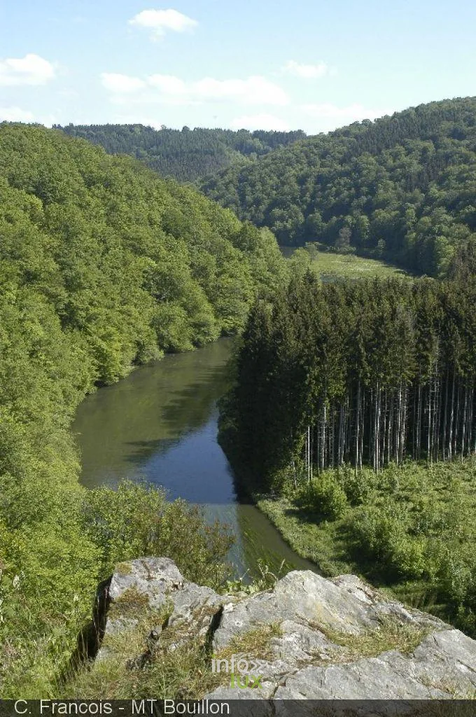 Les méandres boisés de la Semois au Pic du Diable