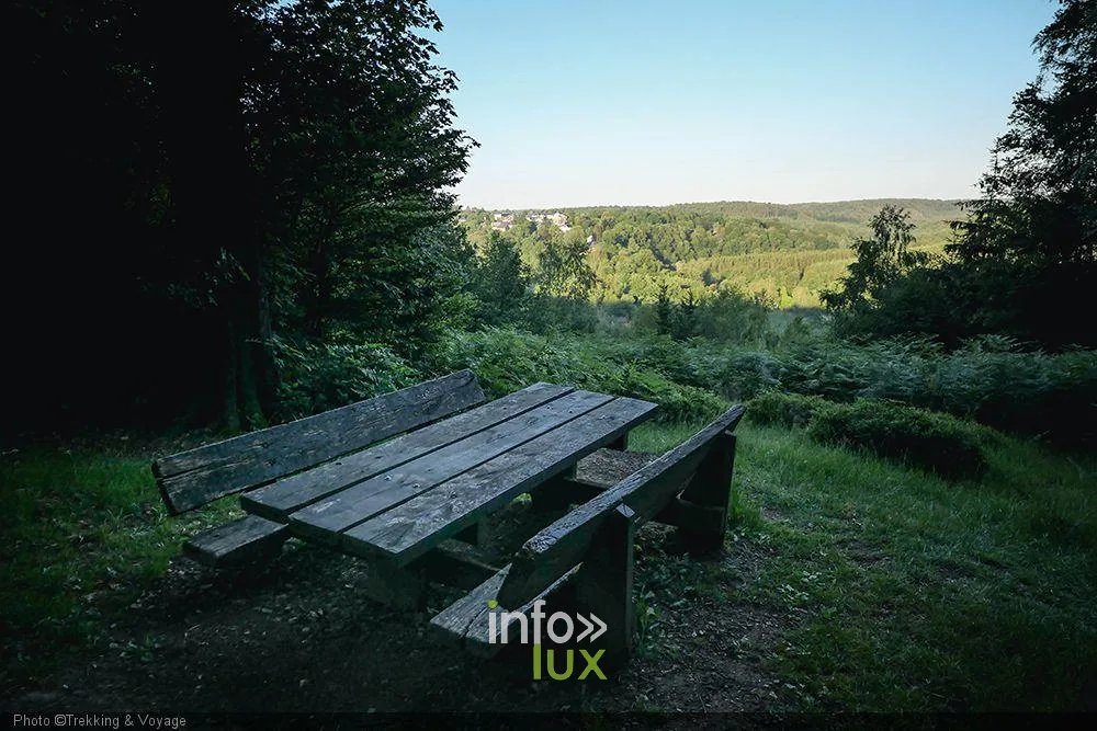 Panorama sur la vallée de la Semois depuis la Roche du Corbeau à Chiny