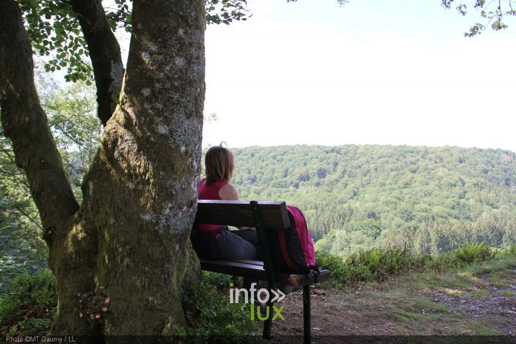 Le rocher de la Roche Pinco dans la forêt de Chiny