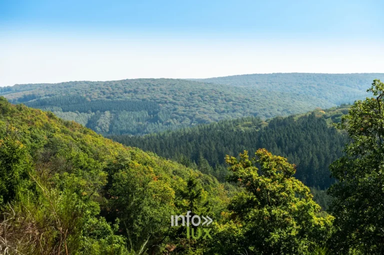 Wellin > Points de vue > Le Tienne de Chassepierre