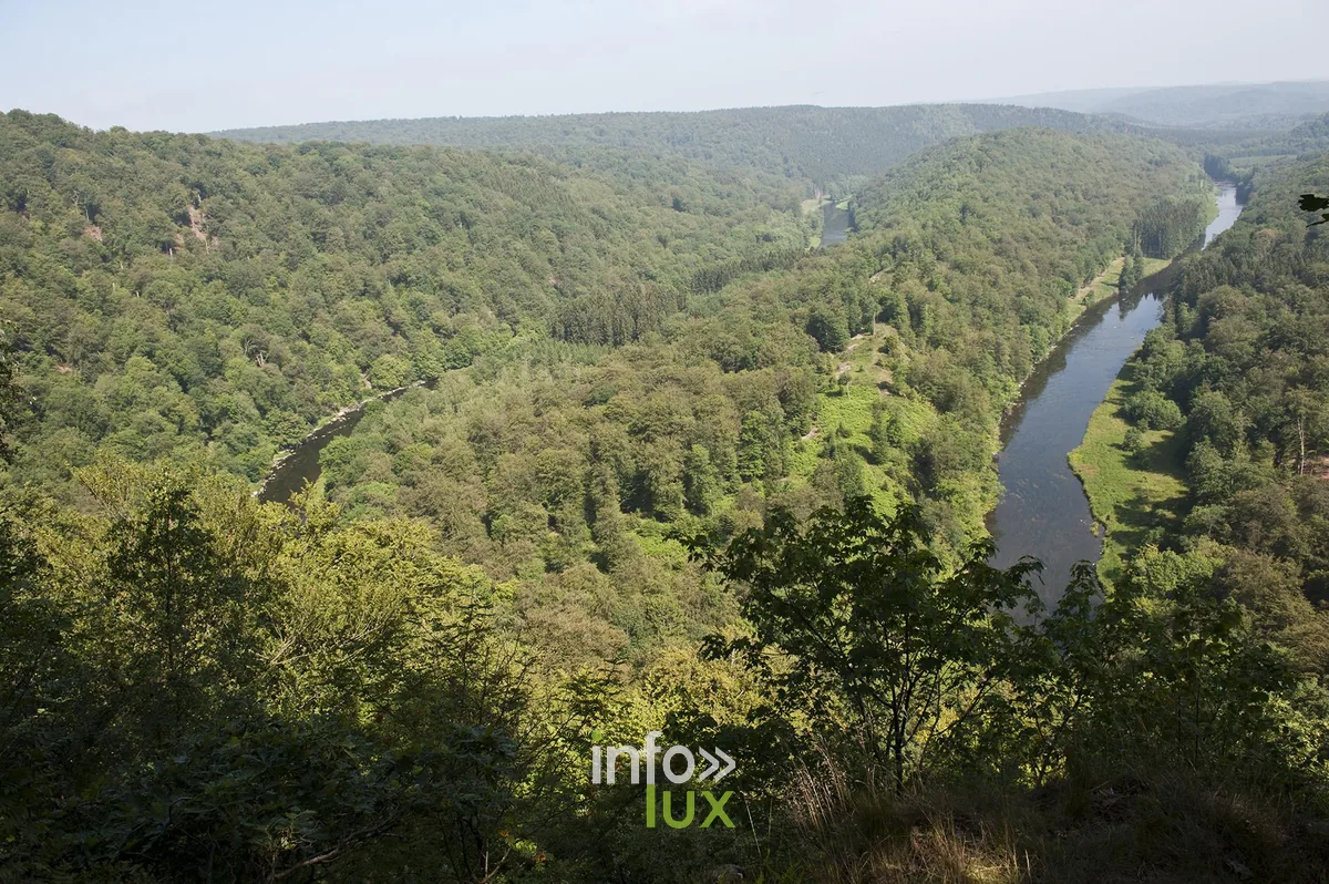 La presqu'île du Tombeau du Chevalier dans un méandre de la Semois