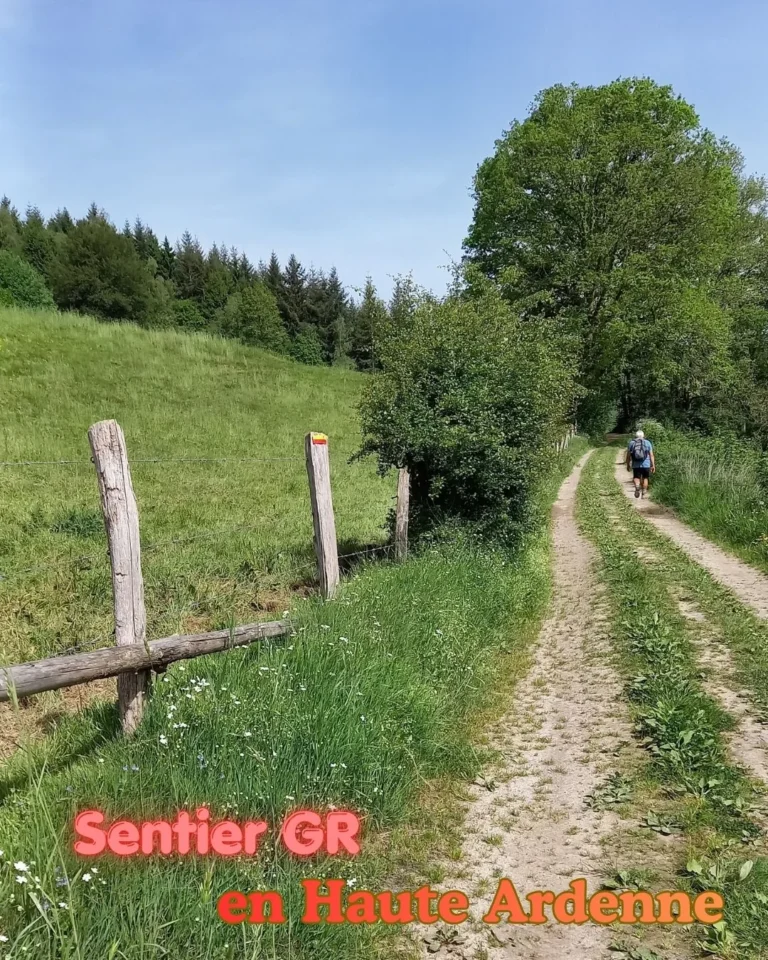 Vielsalm > Balade > Rando découverte autour de Vielsalm