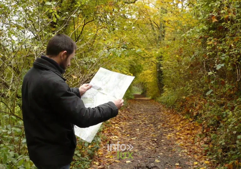Fond Des Trottes : randonnée 6,9 km à Hotton