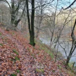 Herbeumont : La Grotte des Moines via le chemin des Fileuses à Herbeumont, randonnée en province de Luxembourg