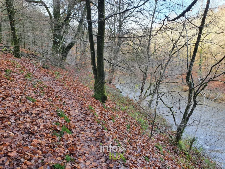 Herbeumont : La Grotte des Moines via le chemin des Fileuses : randonn