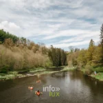 Le long de l'eau à Chiny, randonnée en province de Luxembourg