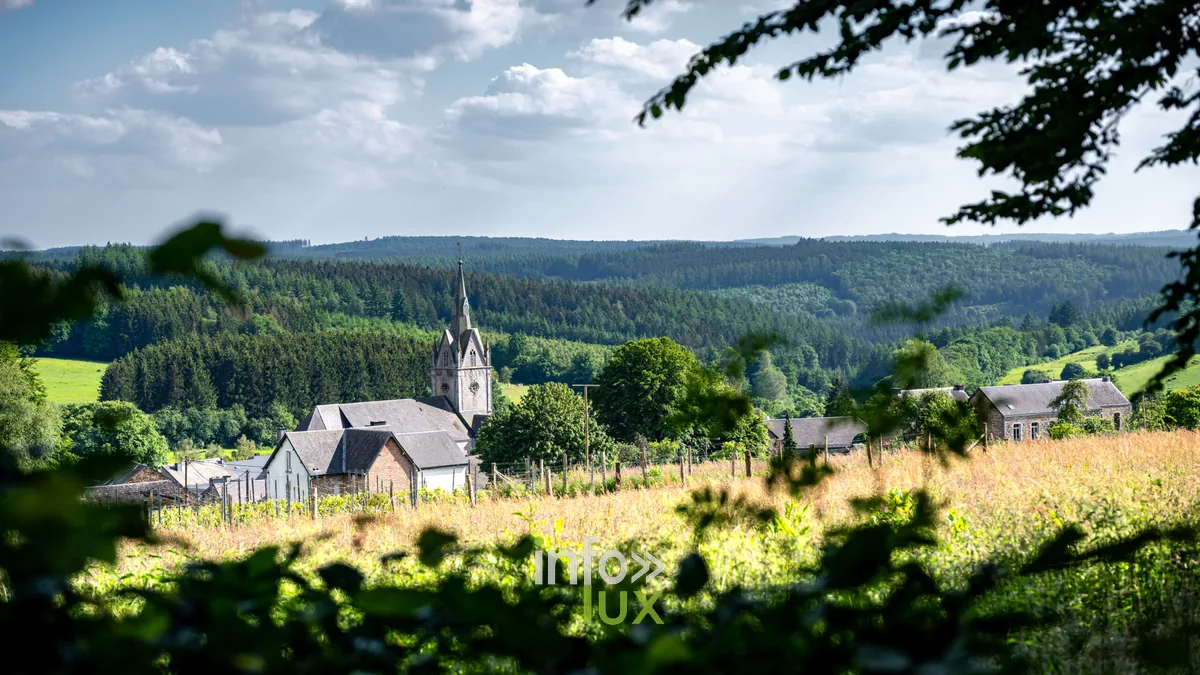 L'église Saint-Hubert de Redu, au cœur du Village du Livre (Libin)