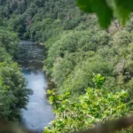 Trail La Roche - Difficile à La Roche-en-Ardenne, randonnée en province de Luxembourg