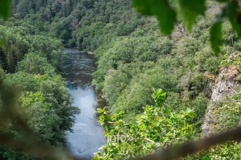 Ardenne Aventures (La Roche-en-Ardenne) : accrobranche, tarifs 2026