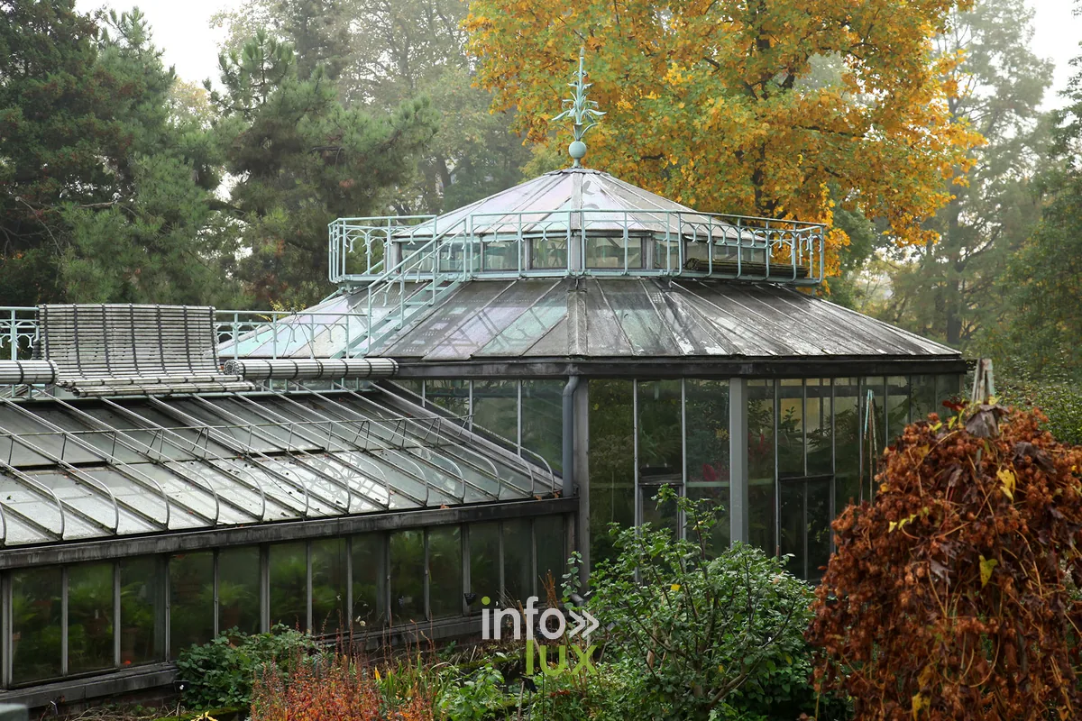 Serres victoriennes classées du Jardin botanique de Liège