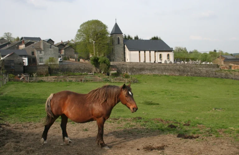 Gros-Fays, un des Plus Beaux Villages de Wallonie (Bièvre)