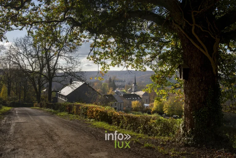 Mirwart : château, étangs et forêt, un des Plus Beaux Villages de Wallonie