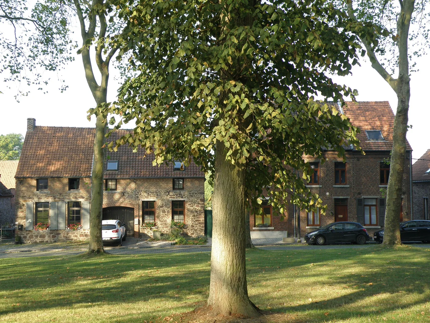 Maisons de pierre de la Place Masson — Montignies-sur-Roc, un des Plus Beaux Villages de Wallonie (Honnelles, province de Hainaut)
