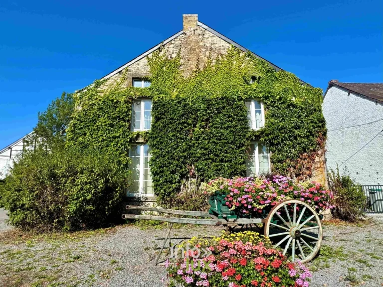 Sohier (Wellin), Plus Beau Village de Famenne : que voir, que faire