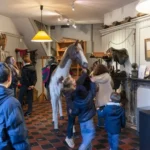 Visite familiale au Musée spadois du cheval à Spa