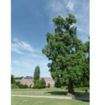 Visite guidée AGAV : Verviers au vert 2026