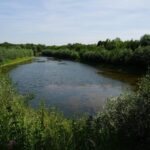 Visite guidée de la réserve naturelle du Tadorne 2026