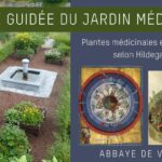Visite guidée - Le jardin médiéval de l'Abbaye de Villers 2026
