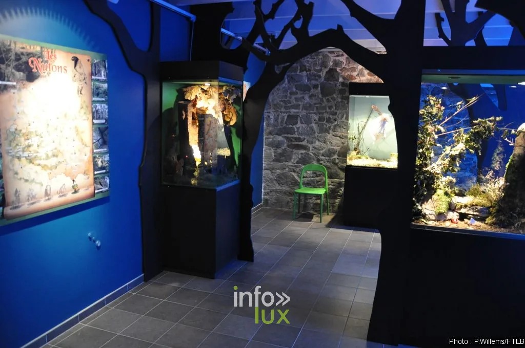 Visite guidée Piconrue - Musée de la Grande Ardenne à Bastogne, musée en province de Luxembourg