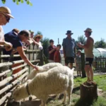 Week-end à la ferme à Neufchâteau