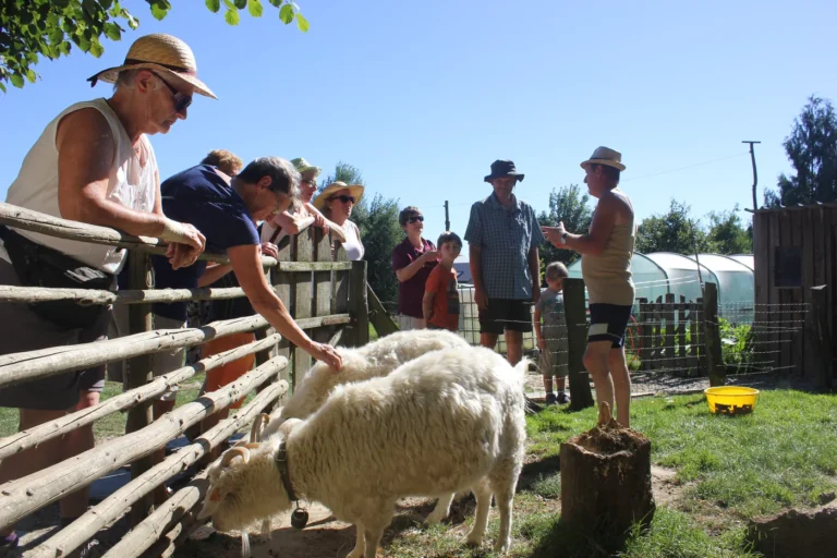 Neufchâteau > Fermes ouvertes > Week-end à la ferme