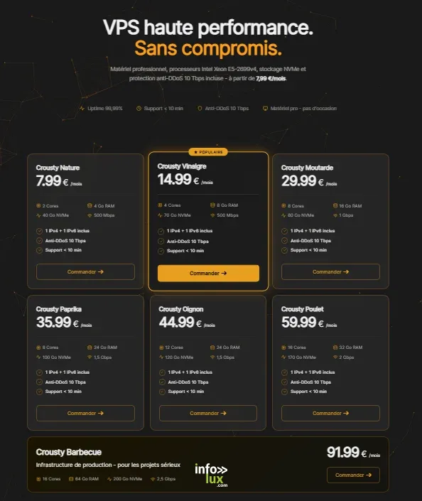 Gaming > Hébergement > CroustyCloud, des serveurs de jeux et VPS pensés pour les communautés de joueurs