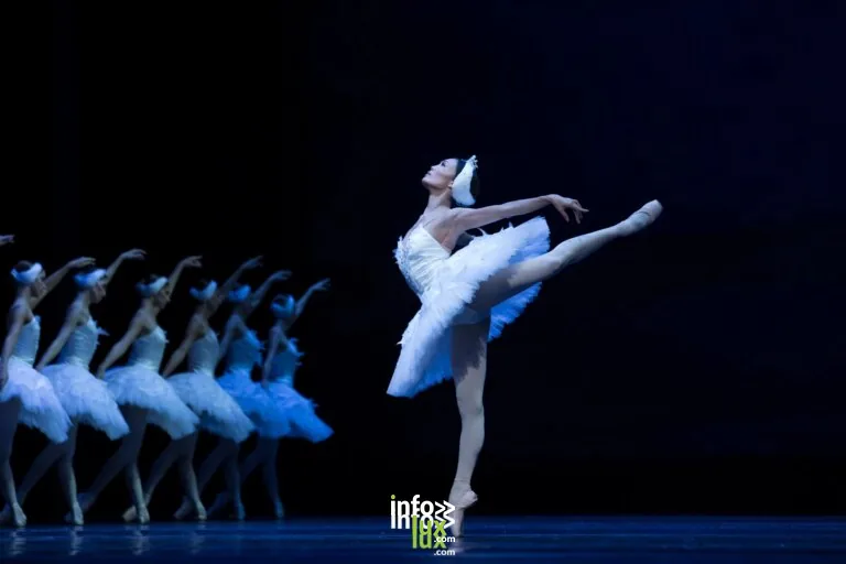 LE LAC DES CYGNES en concert au Galaxie d'Amnéville