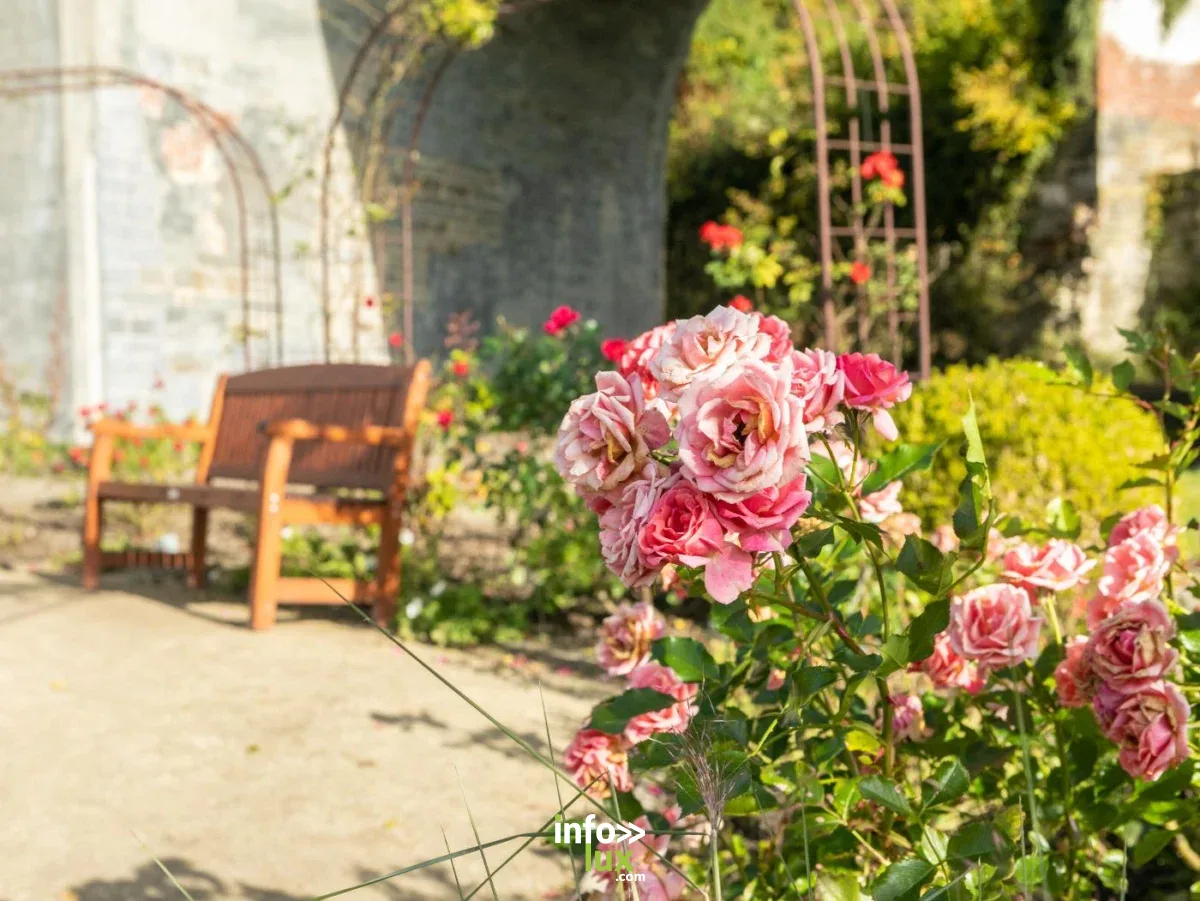 Affiche officielle Atelier et visite guidée - Secrets des roses à l'Abbaye de Villers 2026