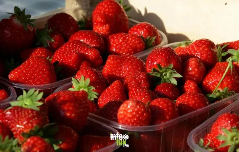 Aux fraises de Bourcq à Bourcq