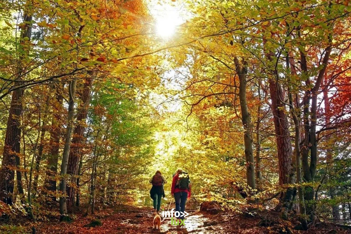 Affiche officielle Balade d'automne 2026