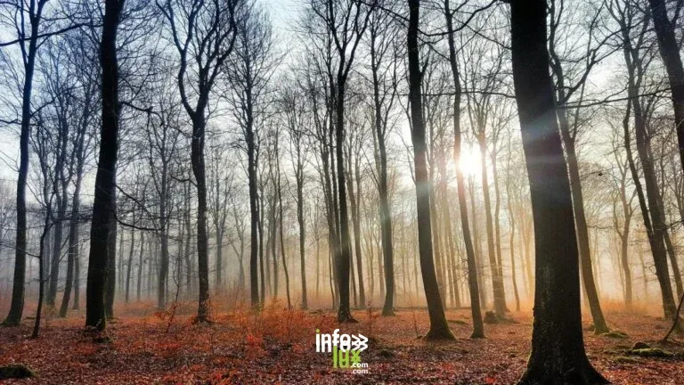Balade des 4 saisons "Automne" 2026