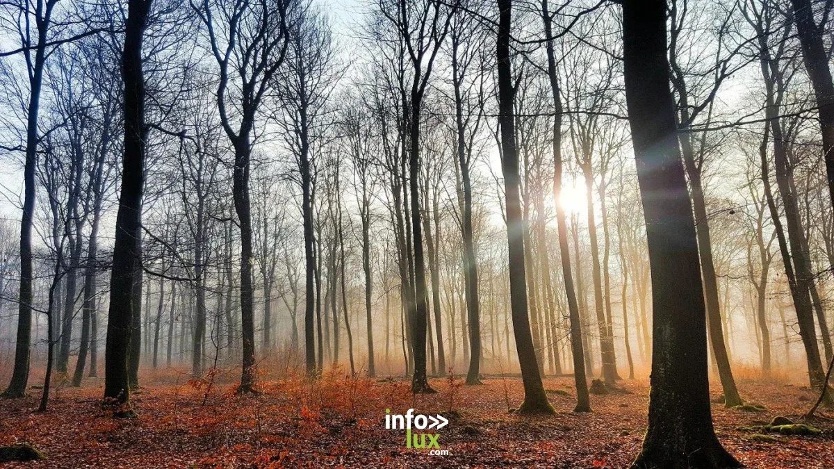 Affiche officielle Balade des 4 saisons "Automne" 2026