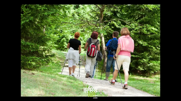 Pepinster > Balade > Balade des Jeunes Promeneurs des Fagnes à Tancrémont 2026