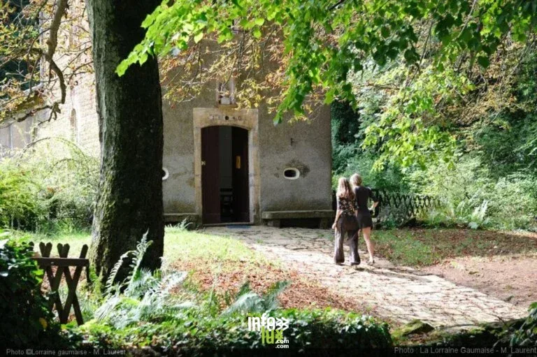 Rouvroy > Terroir > Balade guidée: Torgny et son vignoble 2026