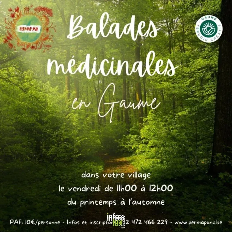 Balade médicinale en Gaume 2026