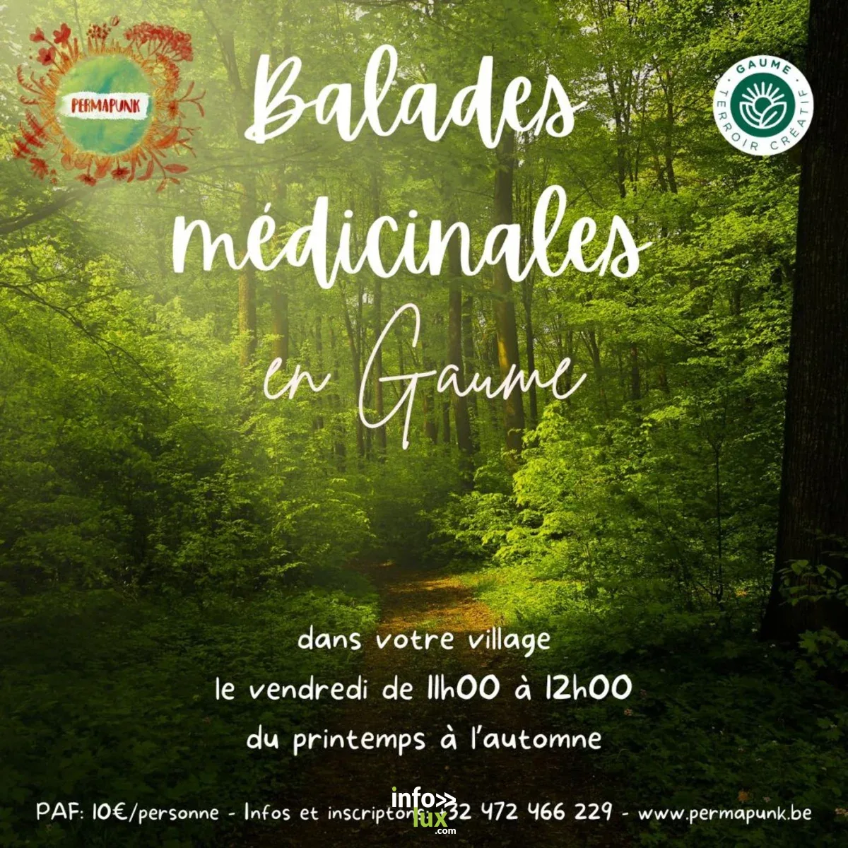 Affiche officielle Balade médicinale en Gaume 2026