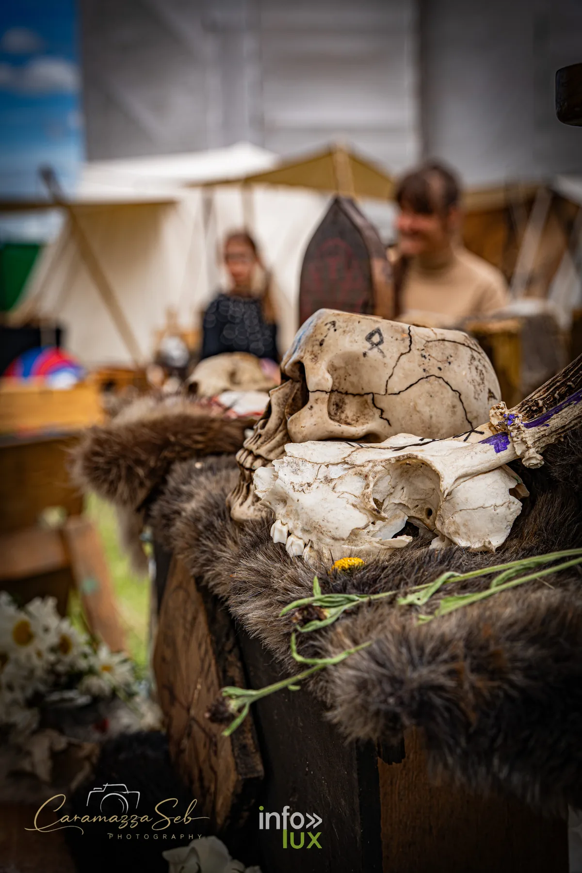 Decor de campement de clan viking avec cranes et fourrures au festival Banoria a Saint-Hubert