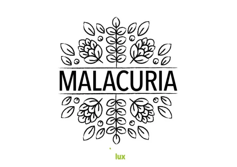Brasserie artisanale Malacuria