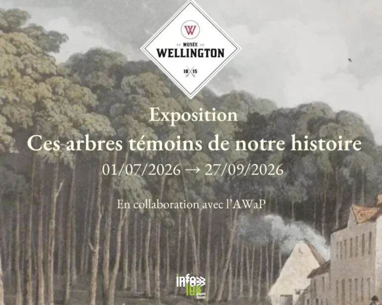 Ces arbres témoins de notre histoire 2026